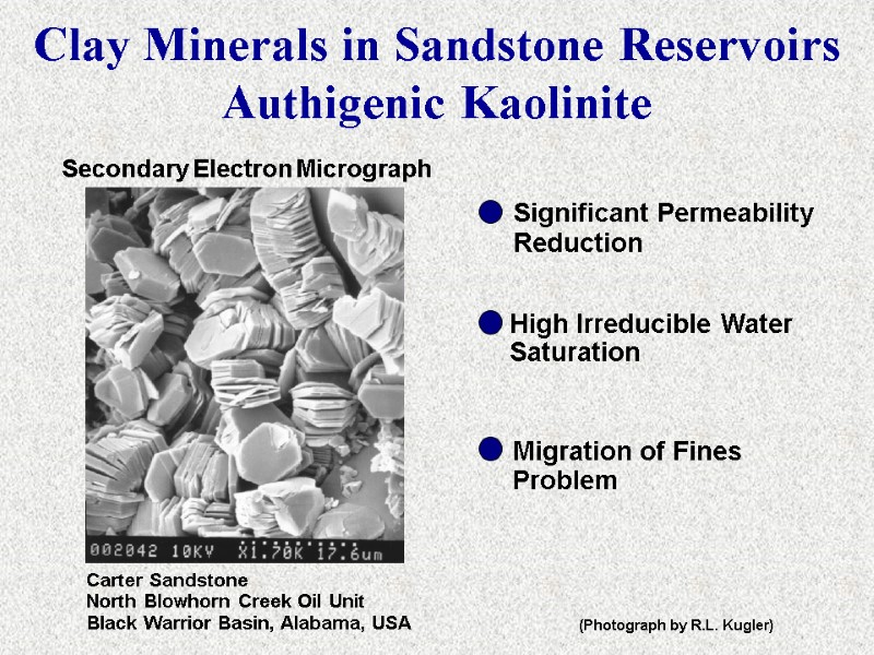 Secondary Electron Micrograph Carter Sandstone North Blowhorn Creek Oil Unit Black Warrior Basin, Alabama,